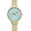 Skagen Anita Lille Two Tone Stainless Steel Green Dial Quartz SKW3132 Women's Watch